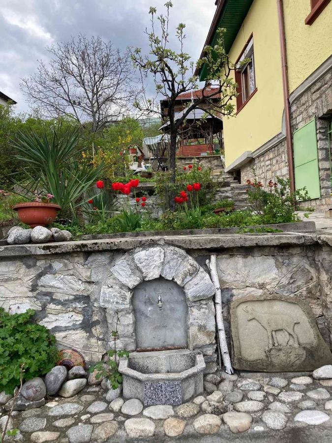 Apartment Venera *